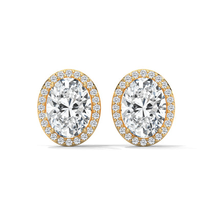 Orelia Oval Stud Earrings