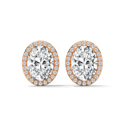 Orelia Oval Stud Earrings