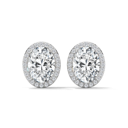Orelia Oval Stud Earrings