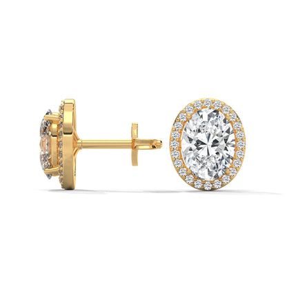 Orelia Oval Stud Earrings