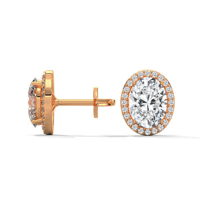 Orelia Oval Stud Earrings