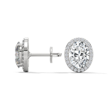 Orelia Oval Stud Earrings