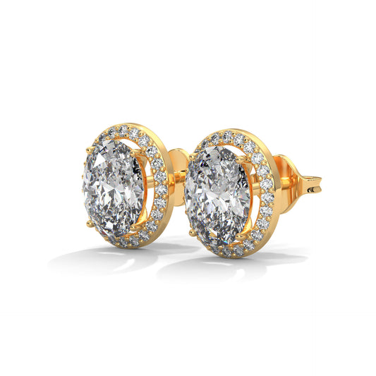 Orelia Oval Stud Earrings