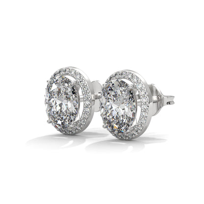 Orelia Oval Stud Earrings