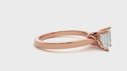 Prestige Princess With Small Stones Ring