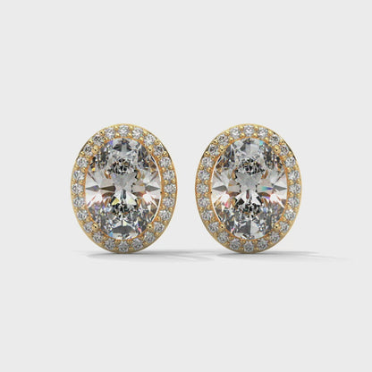 Orelia Oval Stud Earrings