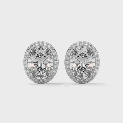 Orelia Oval Stud Earrings