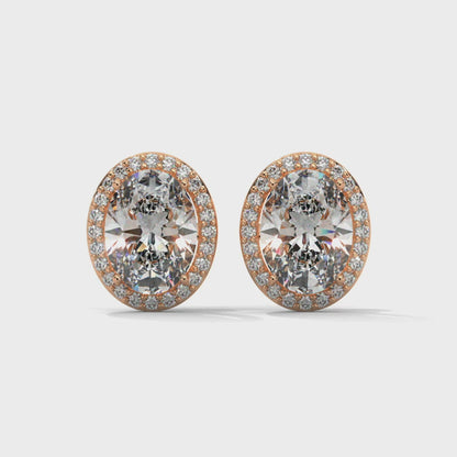 Orelia Oval Stud Earrings